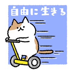 自由に生きるネコたち③