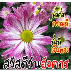 สวัสดีวันจันทร์แสนสดใส 3