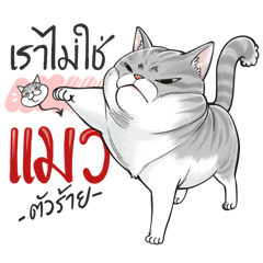 เราไม่ใช่แมวตัวร้าย