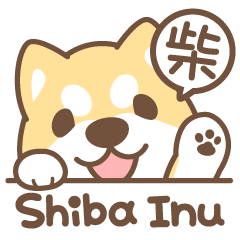 柴犬大集合！