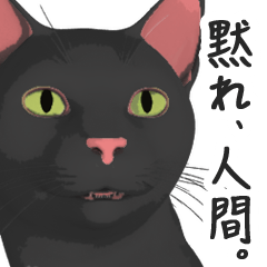 Can't hate this cat. 2