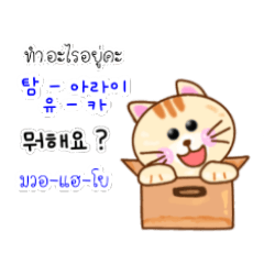 Lucky TH-KR Thai-Korea