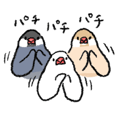 文鳥スタンプ 8