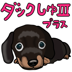 ダックしゅⅢ（クロタン）プラス