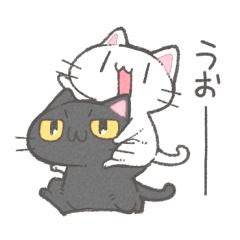 ふんわりしろくろにゃんこ。