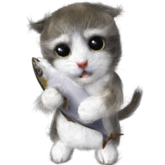 Cu Mofu Kitten3