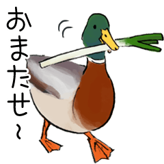 日本の野鳥～冬鳥～