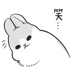 Machiko rabbit 3