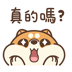 米犬日常 - 呆萌生活篇