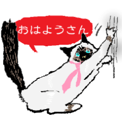 ねこ有限公社