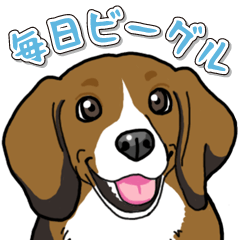 毎日ビーグル