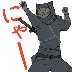 忍びの猫