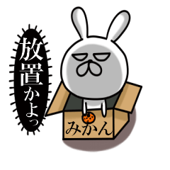 うさうさ ５