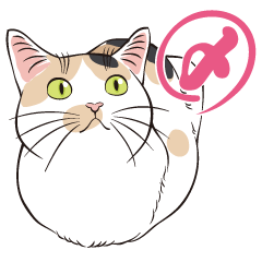 〆にゃんこ