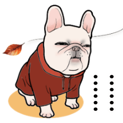 3ブヒ犬！第三弾