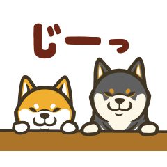 なかよし柴犬の日常会話スタンプ