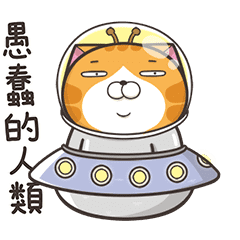 白爛貓☆動一動☆