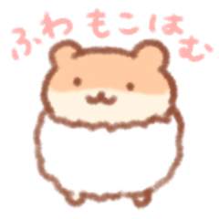 ふわもこはむちゃん