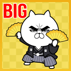 【BIG】目ヂカラ☆にゃんこ 2021年末年始