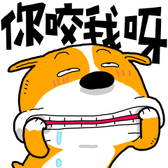 白目狗之你咬我呀