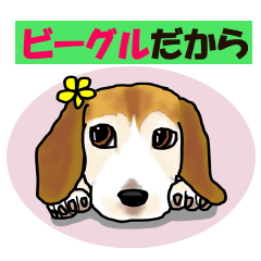 ビーグルだから