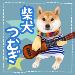 柴犬つむぎスタンプ