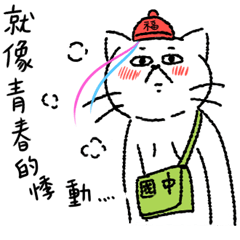 身為一隻貓(過年突擊)