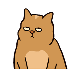 小貓貓們 2