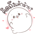 แมวน้ำ