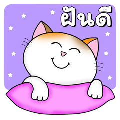 ก๊วน แมว เหมียว : พักบ้าง ไรบ้าง ฮิ ฮิ