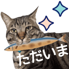 猫にゃ・にゃ・にゃ！part3