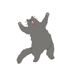 cats ‼︎‼︎‼︎‼︎