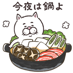 目付きの悪い猫 冬