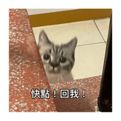 白居易 情竇初開