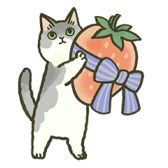 フルーツと!毎日猫ちゃんたち