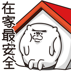白博美溜迪─在家篇