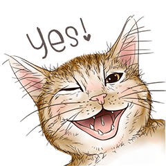 Fluffy kitten little cat meow meow (EN)