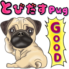 飛び出すパグ犬