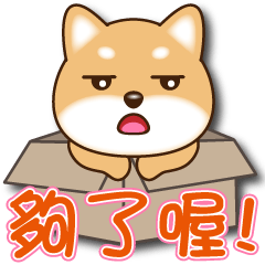 Q柴犬-很日常4