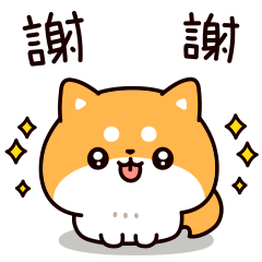 柴犬的回答 2