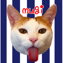 猫スタンプ12むぎくん