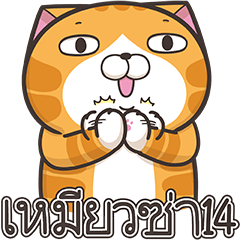 เหมียวซ่า 14 (Thai version)