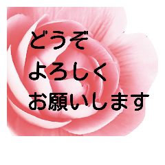 美しい花達 4