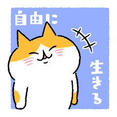 自由に生きるネコたち⑩