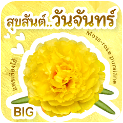 สวัสดีวันจันทร์ ขยายใหญ่ V2.