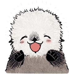 Baby sea otter winter collection