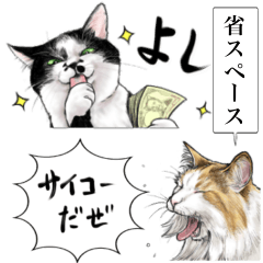 意外と使える【省スペース】リアル猫