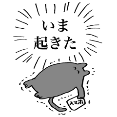 ゃこねこ