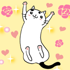 貓小姐Ms.Cat ★ 可愛廢貓大貼圖