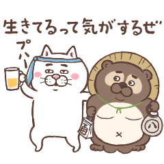 働く!!目付きの悪い猫